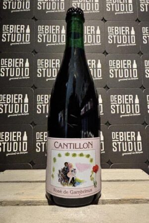 Rose de Gambrinus 2025